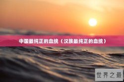 中国最纯正的血统（汉族最纯正的血统）