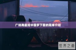 广场舞最炫中国梦下载的简单介绍