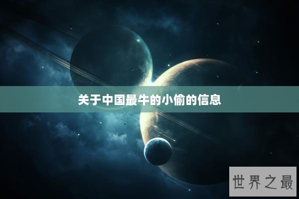 关于中国最牛的小偷的信息