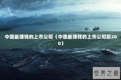 中国最赚钱的上市公司（中国最赚钱的上市公司前200）