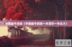 中国最牛班级（中国最牛班级一半清华一半北大）