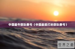中国最牛部队番号（中国最能打的部队番号）