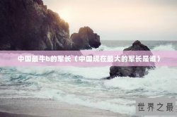 中国最牛b的军长（中国现在最大的军长是谁）