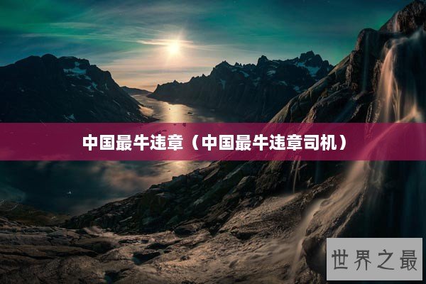 中国最牛违章（中国最牛违章司机）