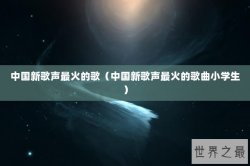 中国新歌声最火的歌（中国新歌声最火的歌曲小学生）