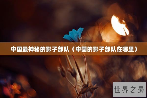 中国最神秘的影子部队（中国的影子部队在哪里）
