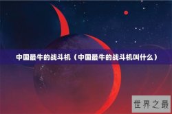 中国最牛的战斗机（中国最牛的战斗机叫什么）