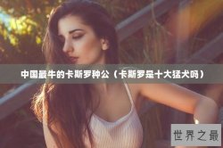 中国最牛的卡斯罗种公（卡斯罗是十大猛犬吗）