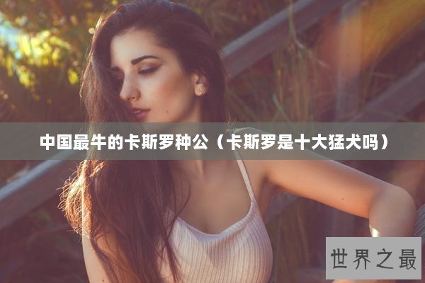 中国最牛的卡斯罗种公（卡斯罗是十大猛犬吗）