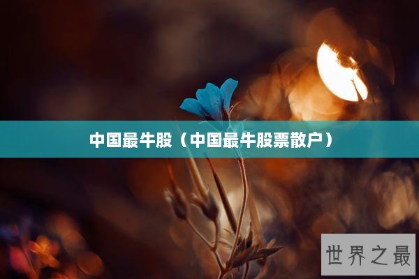 中国最牛股（中国最牛股票散户）