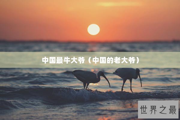 中国最牛大爷（中国的老大爷）