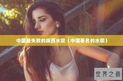 中国最失败的陕西水坝（中国著名的水坝）