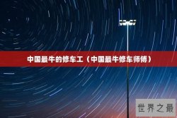 中国最牛的修车工（中国最牛修车师傅）
