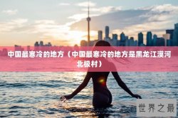 中国最寒冷的地方（中国最寒冷的地方是黑龙江漠河北极村）