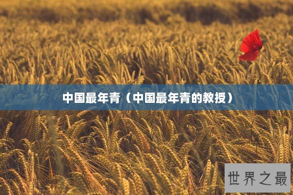 中国最年青（中国最年青的教授）