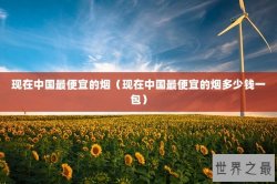 现在中国最便宜的烟（现在中国最便宜的烟多少钱一包）