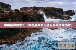 中国最牛的军长（中国最牛军长砸五星级酒店图片）