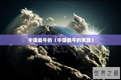 中国最牛的（中国最牛的家族）