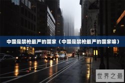 中国是禁枪最严的国家（中国是禁枪最严的国家嘛）