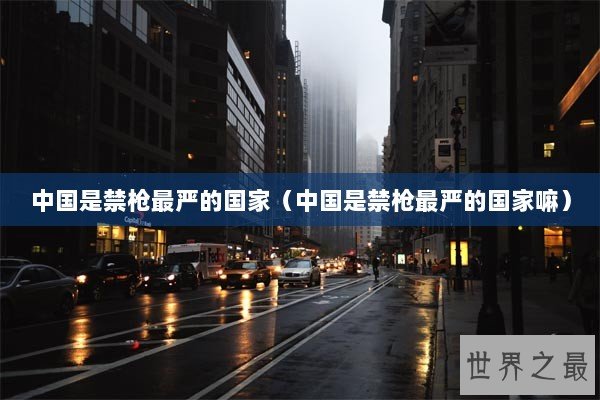 中国是禁枪最严的国家（中国是禁枪最严的国家嘛）