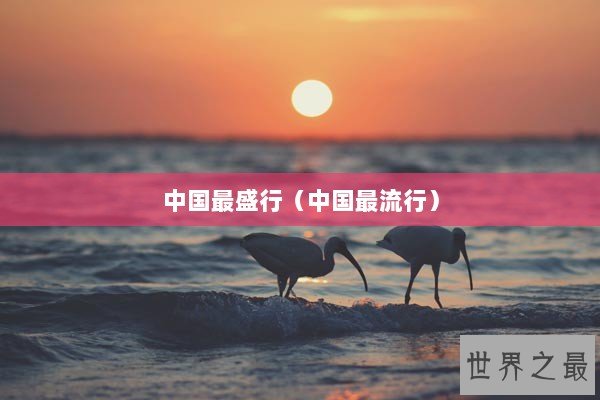 中国最盛行（中国最流行）