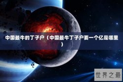 中国最牛的丁子户（中国最牛丁子户要一个亿是哪里）
