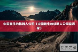 中国最牛的机器人公司（中国最牛的机器人公司是哪家）