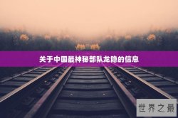 关于中国最神秘部队龙隐的信息