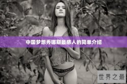 中国梦想秀哪期最感人的简单介绍