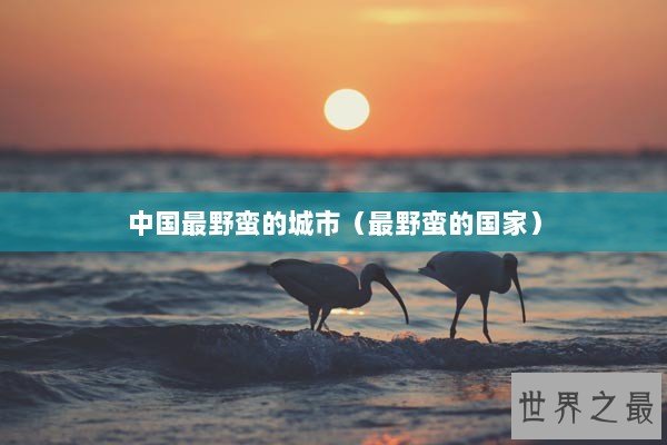 中国最野蛮的城市（最野蛮的国家）