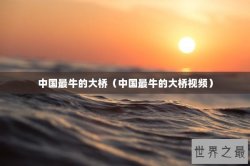 中国最牛的大桥（中国最牛的大桥视频）