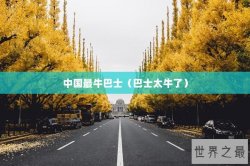 中国最牛巴士（巴士太牛了）