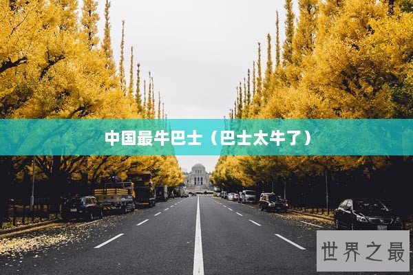 中国最牛巴士(巴士太牛了) 中国最牛巴士(巴士太牛了)