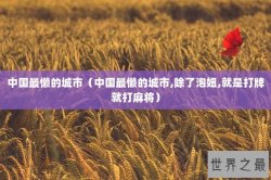 中国最懒的城市（中国最懒的城市,除了泡妞,就是打牌就打麻将）