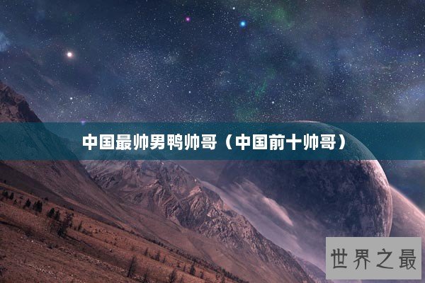 中国最帅男鸭帅哥（中国前十帅哥）