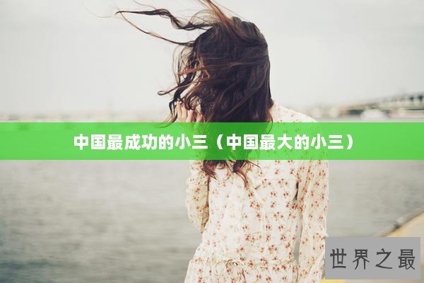 中国最成功的小三（中国最大的小三）
