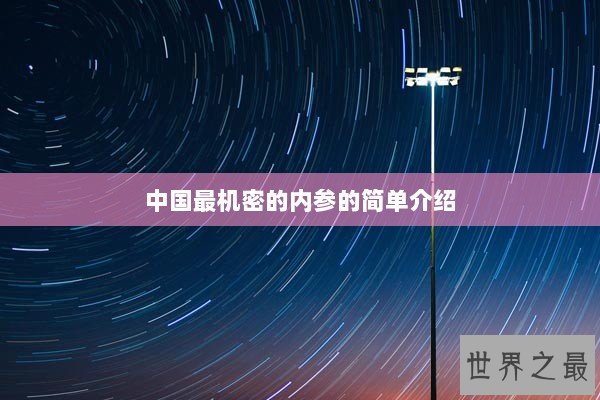 中国最机密的内参的简单介绍