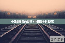 中国最禽兽的老师（中国最牛的老师）