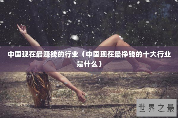 中国现在最赚钱的行业（中国现在最挣钱的十大行业是什么）