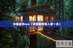 中国最帅ceo（中国最帅男人第一名）