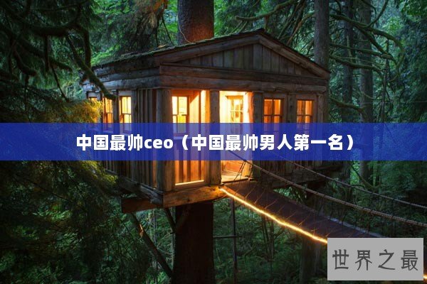 中国最帅ceo（中国最帅男人第一名）
