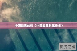 中国最臭的花（中国最臭的花排名）