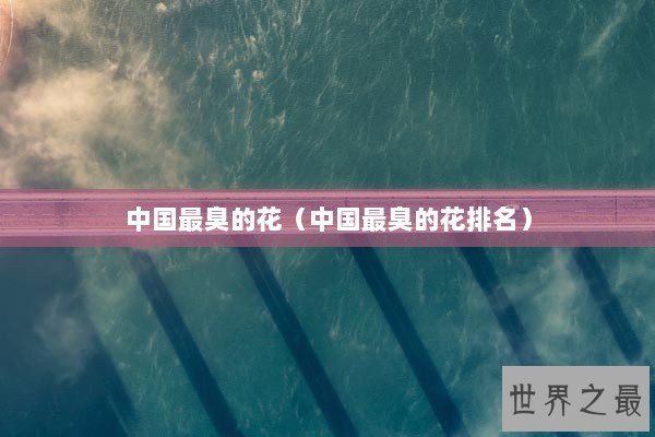 中国最臭的花（中国最臭的花排名）