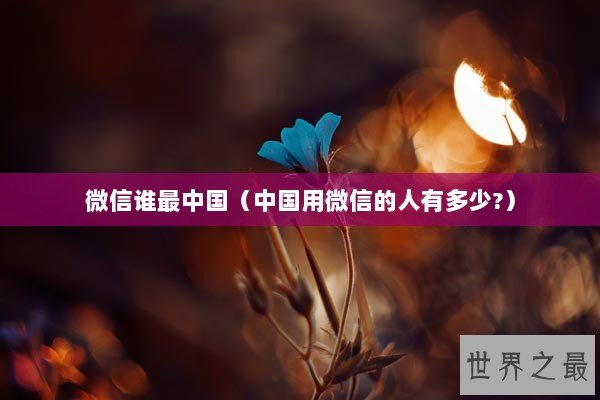 微信谁最中国（中国用微信的人有多少?）