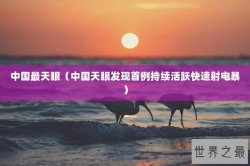中国最天眼（中国天眼发现首例持续活跃快速射电暴）