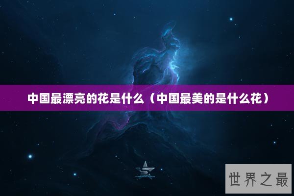 中国最漂亮的花是什么（中国最美的是什么花）