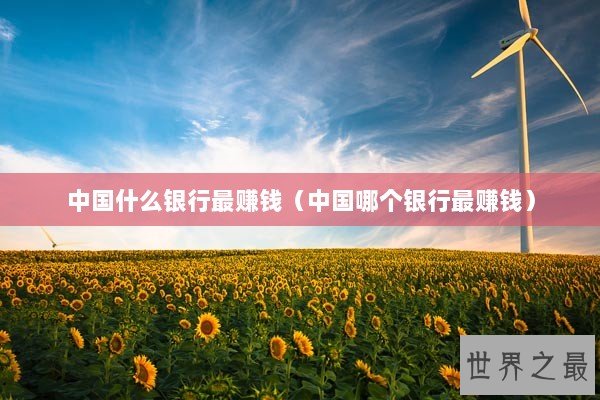 中国什么银行最赚钱（中国哪个银行最赚钱）