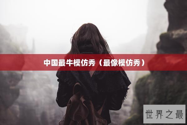 中国最牛模仿秀（最像模仿秀）