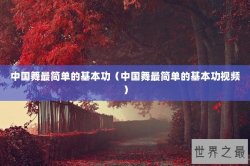 中国舞最简单的基本功（中国舞最简单的基本功视频）