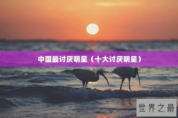 中国最讨厌明星（十大讨厌明星）